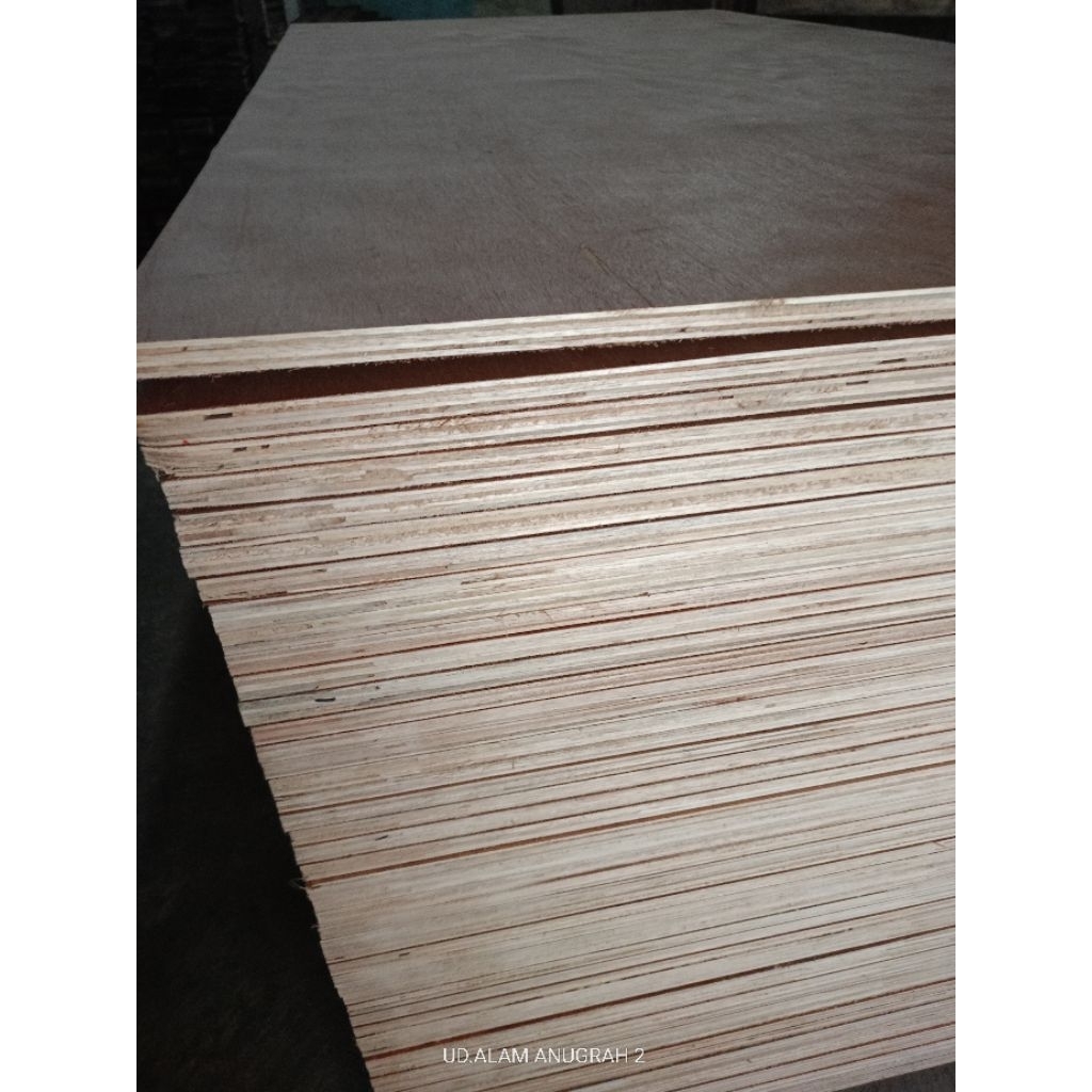 Triplek 12mm Meranti campur