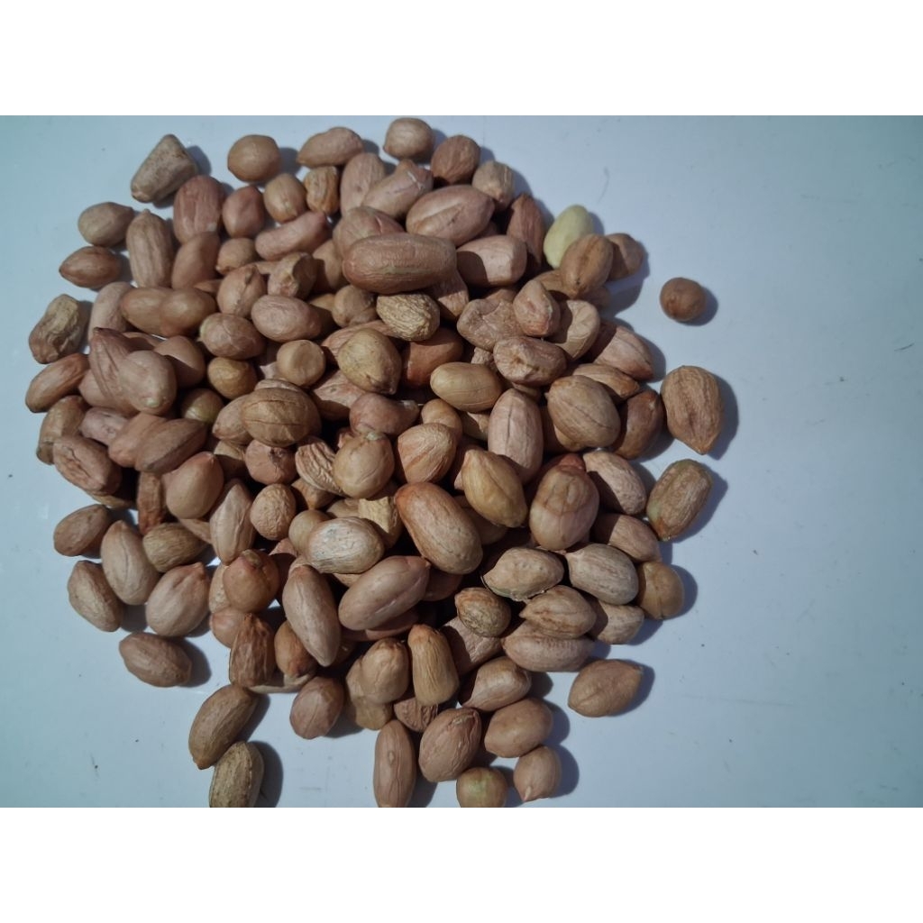 KACANG TANAH 1KG