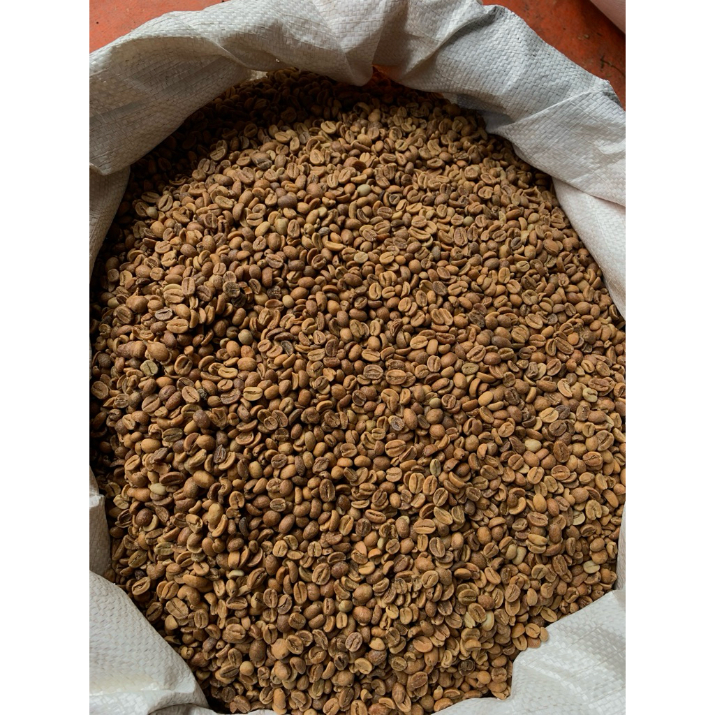 GREEN BEAN KOPI ARABIKA WINE TEMANGGUNG