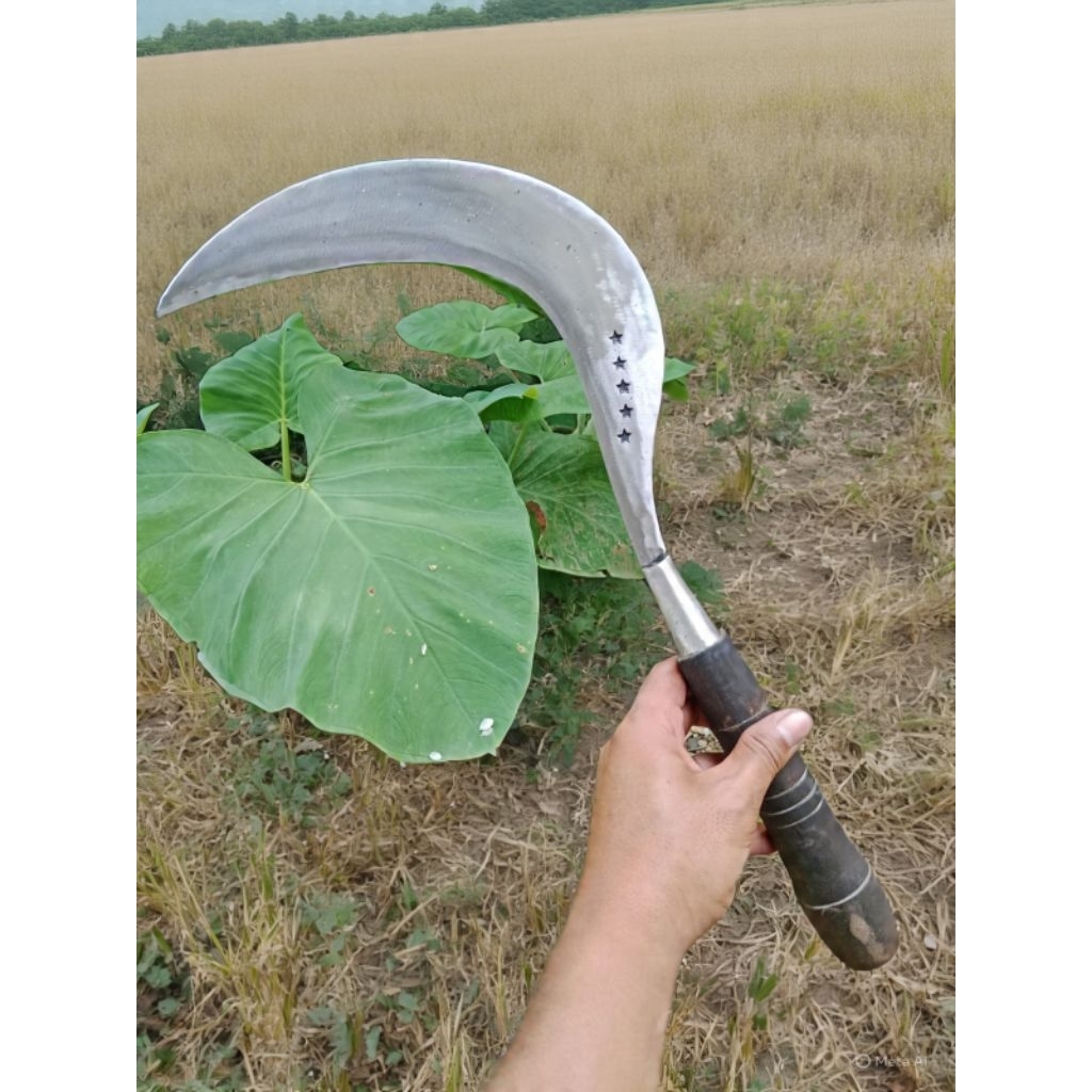 Arit Rumput Asli Bintang5 Baja Super Tajam Khas Madura (Gratis 1pcs pisau dapir)