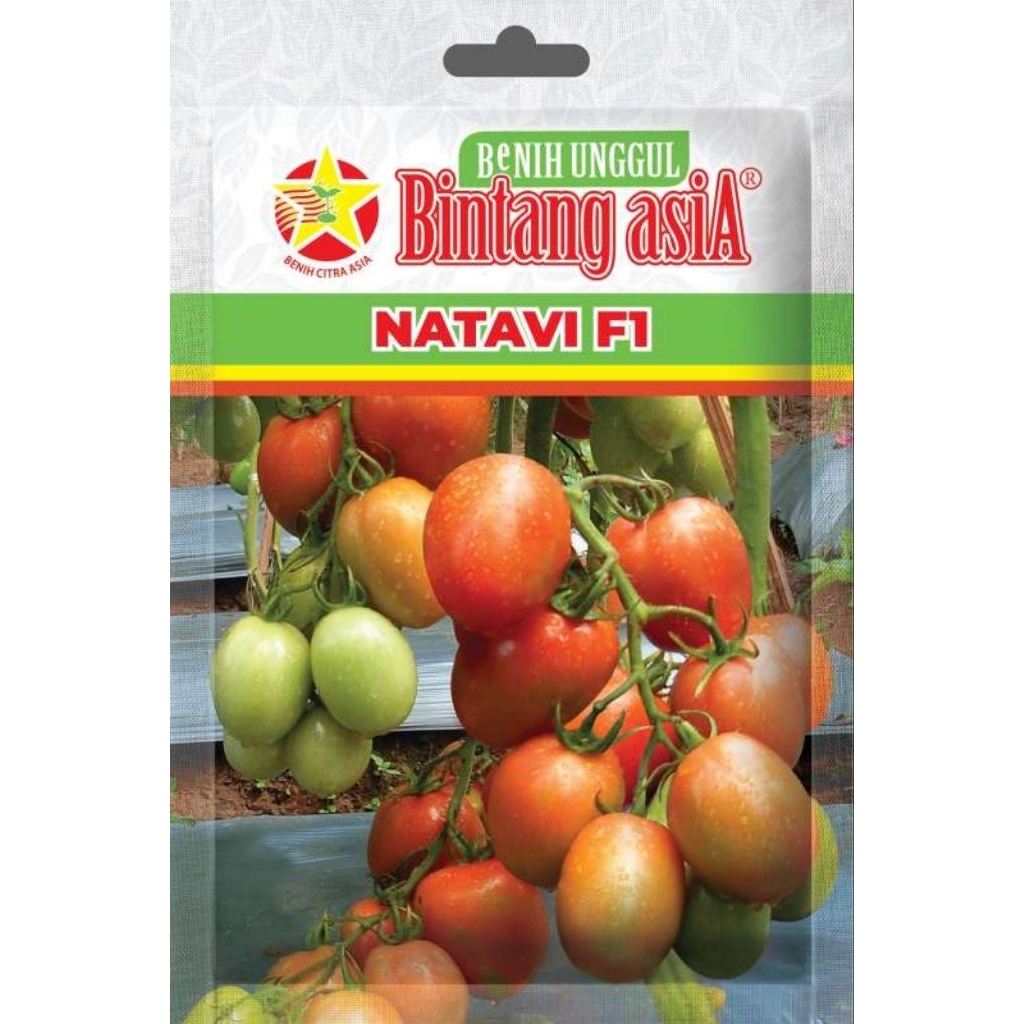 PREMIUM BENIH TOMAT F1NATAVI SEHAT,150gr-isi(1250biji)