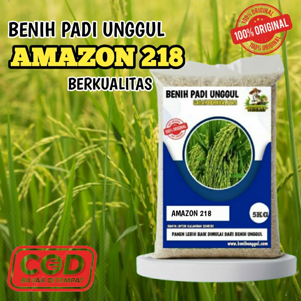 (5KG) Benih Padi Super Unggul AMAZON 218 Batang Kokoh Tahan Rebah Umur Pendek 90-95 Hst