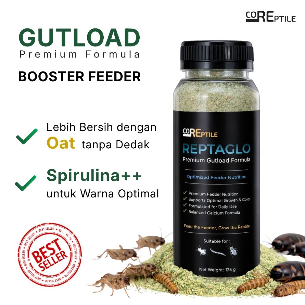 Gutload Jangkrik Dubia 125g – Premium Feeder Booster | Pakan Gutload Gecko & Reptil | REPTAGLO