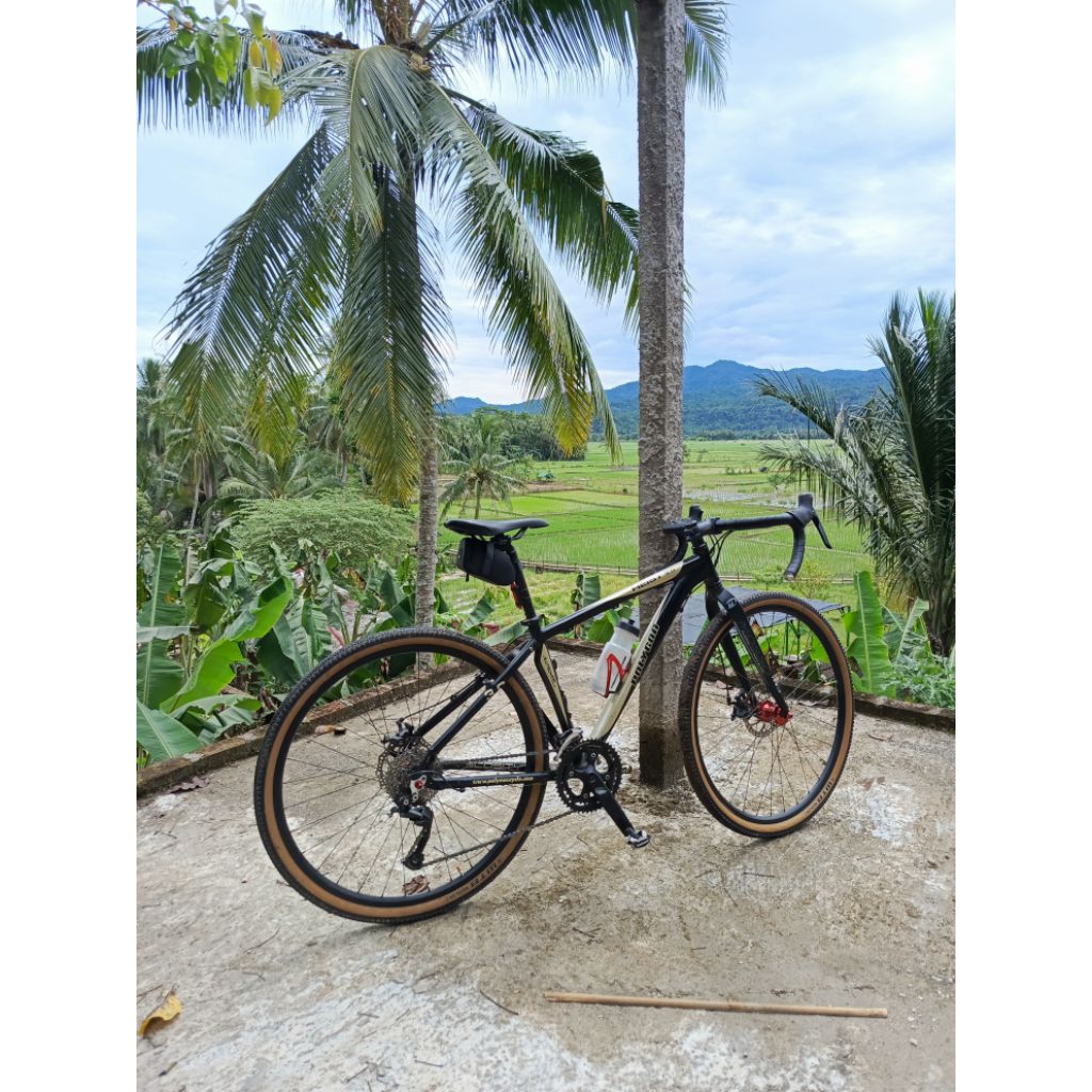 sepasang ban WTB riddler 700x45