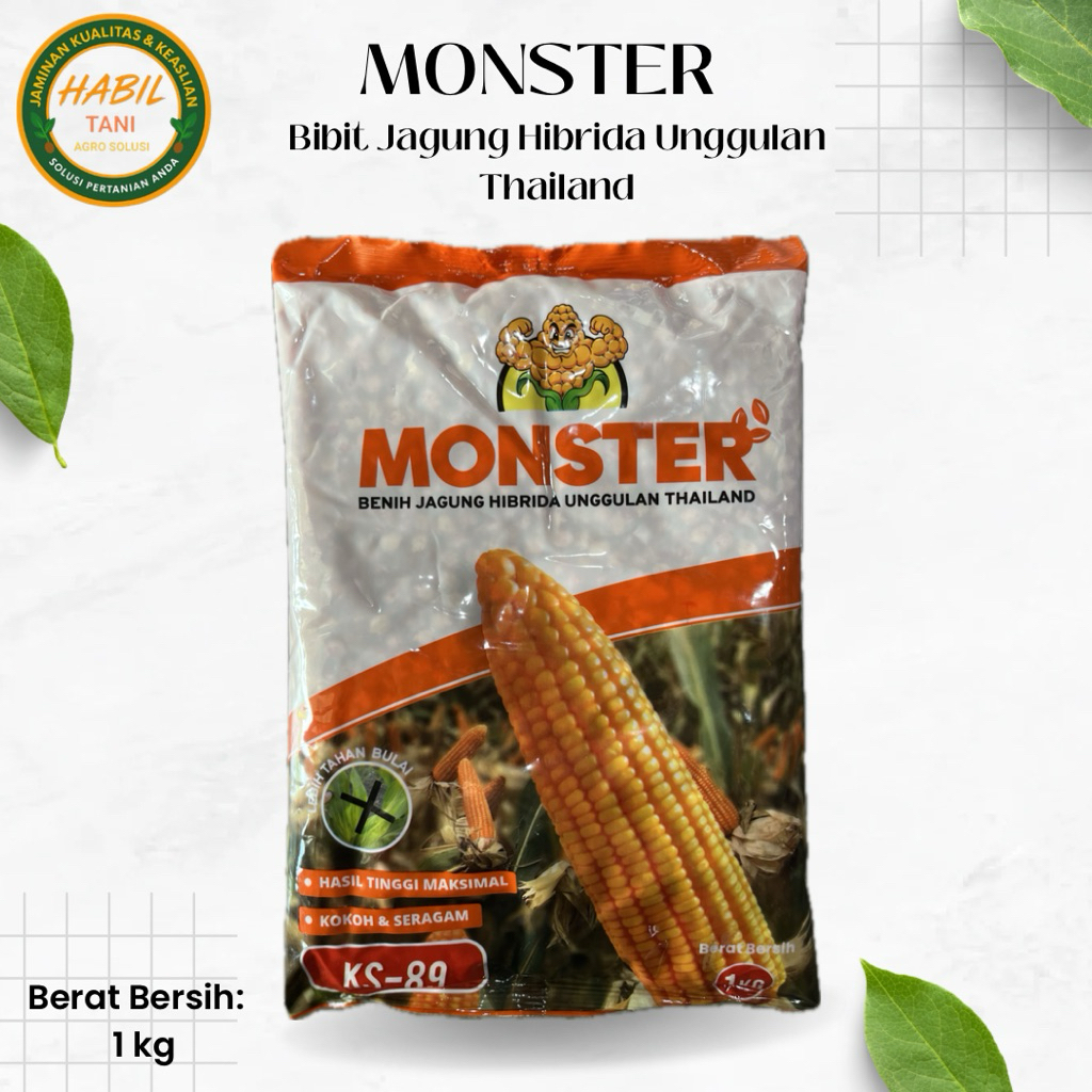 MONSTER_Benih Jagung Hibrida Unggulan Thailand_1 kg