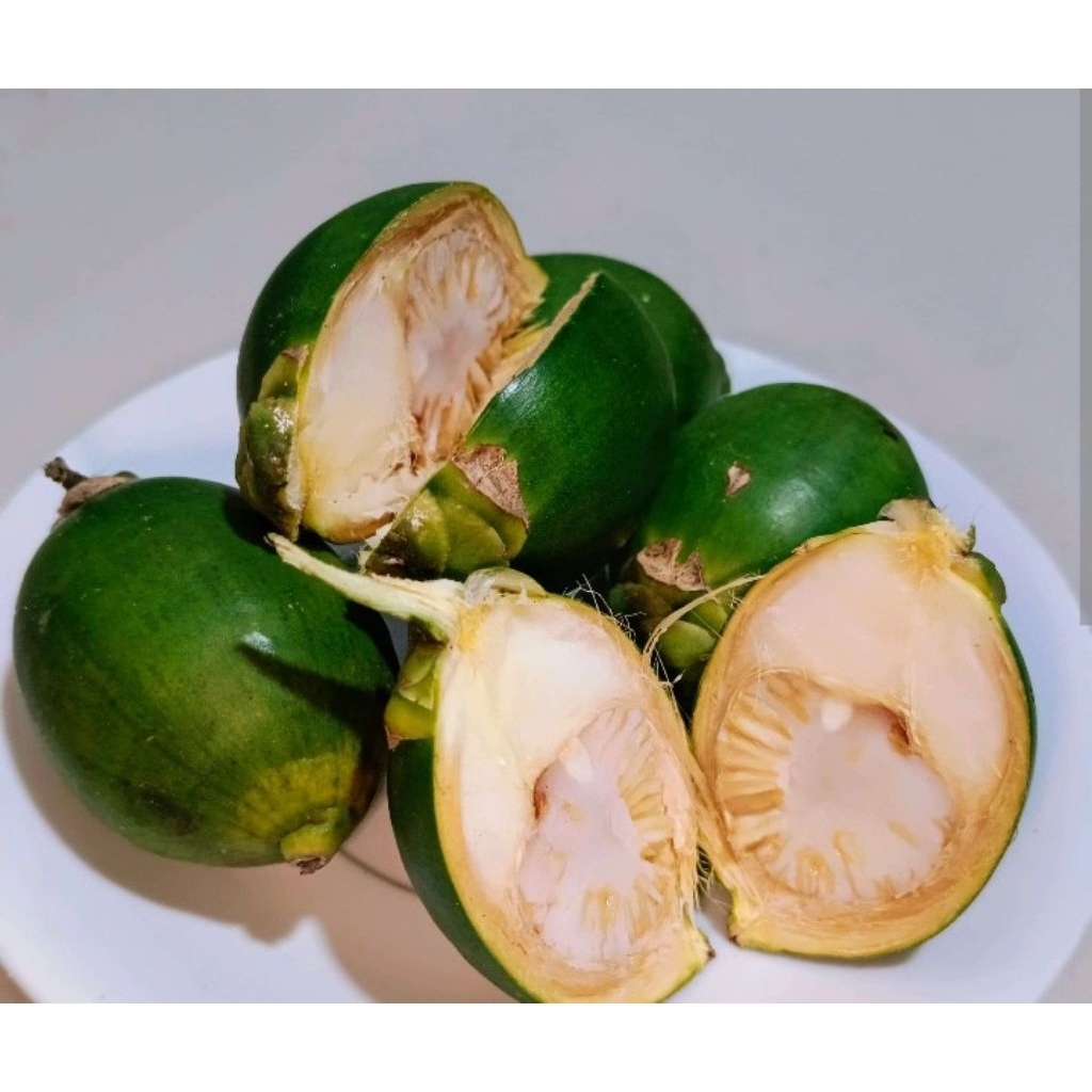 buah pinang muda dan pinang tua