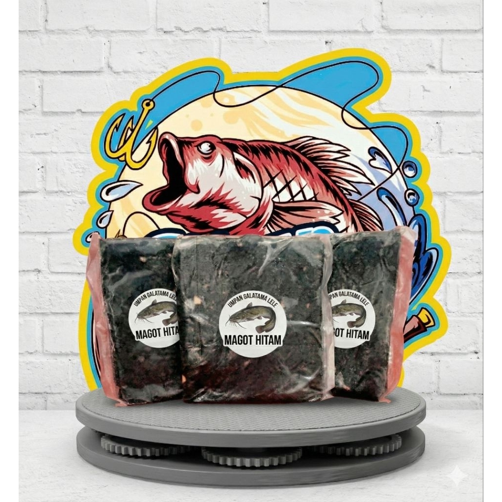 MAGOT HITAM umpan Galatama ikan lele