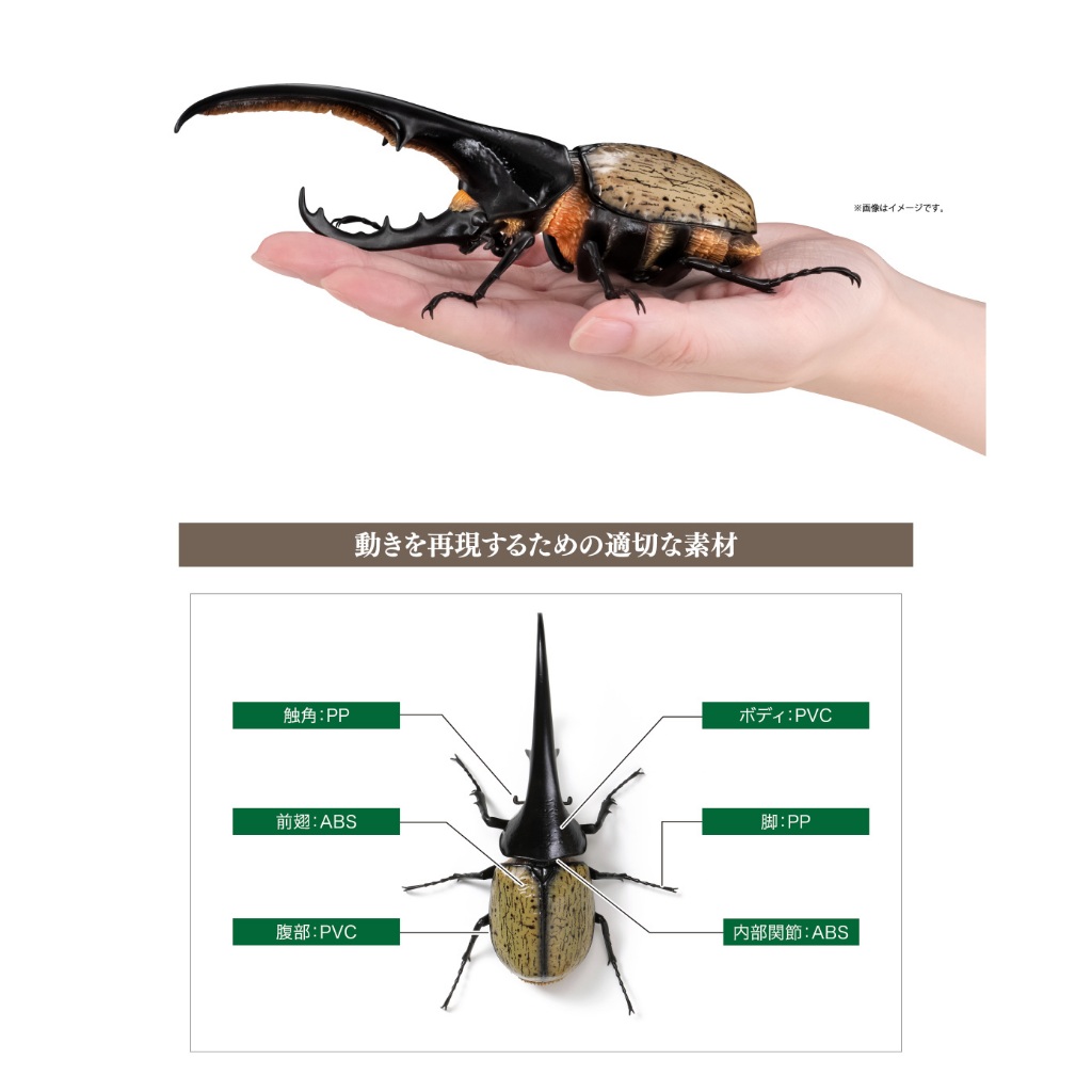 Ikimono kumbang Badak kabuto mushi 07 rhinoceros hercules scarab beetle figure bandai capsule toy