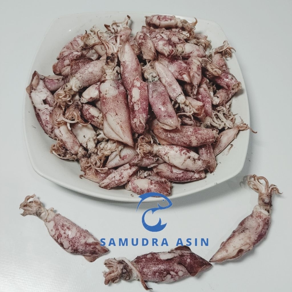 ikan asin cumi sontong/ikan asin cumi rebus/ikan asin cumi telor