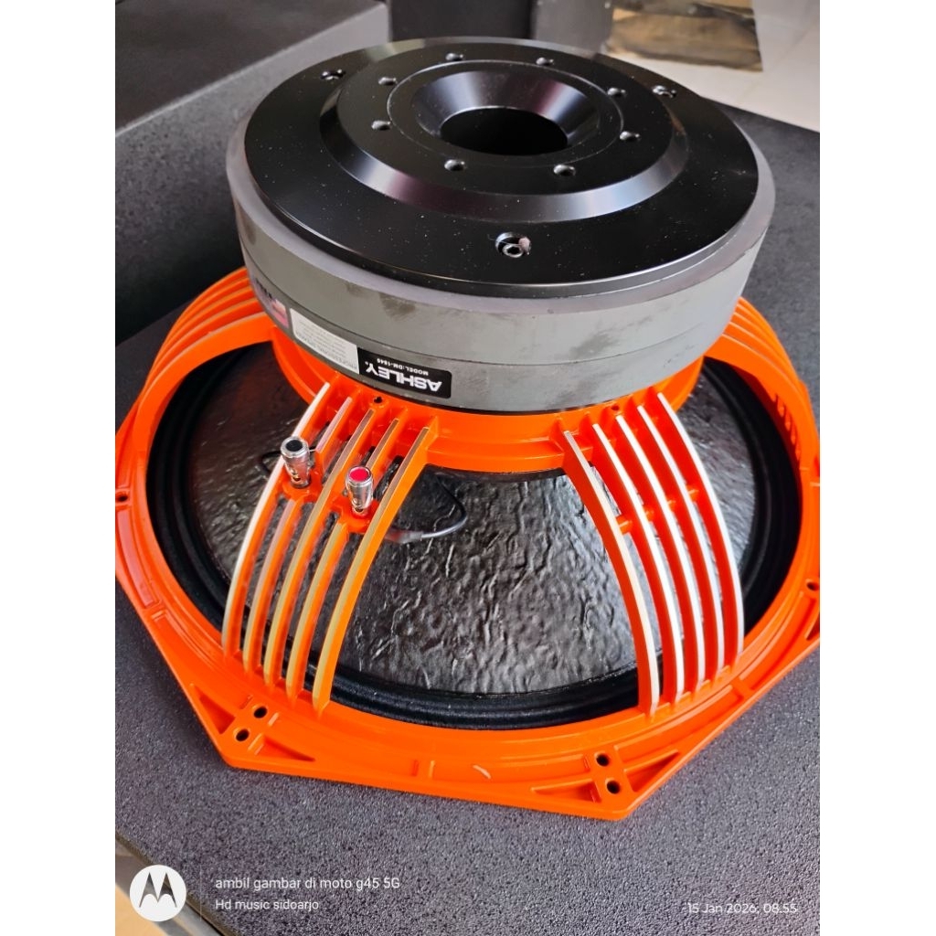 speaker Ashley 18in dm 18450 dobel magnit
