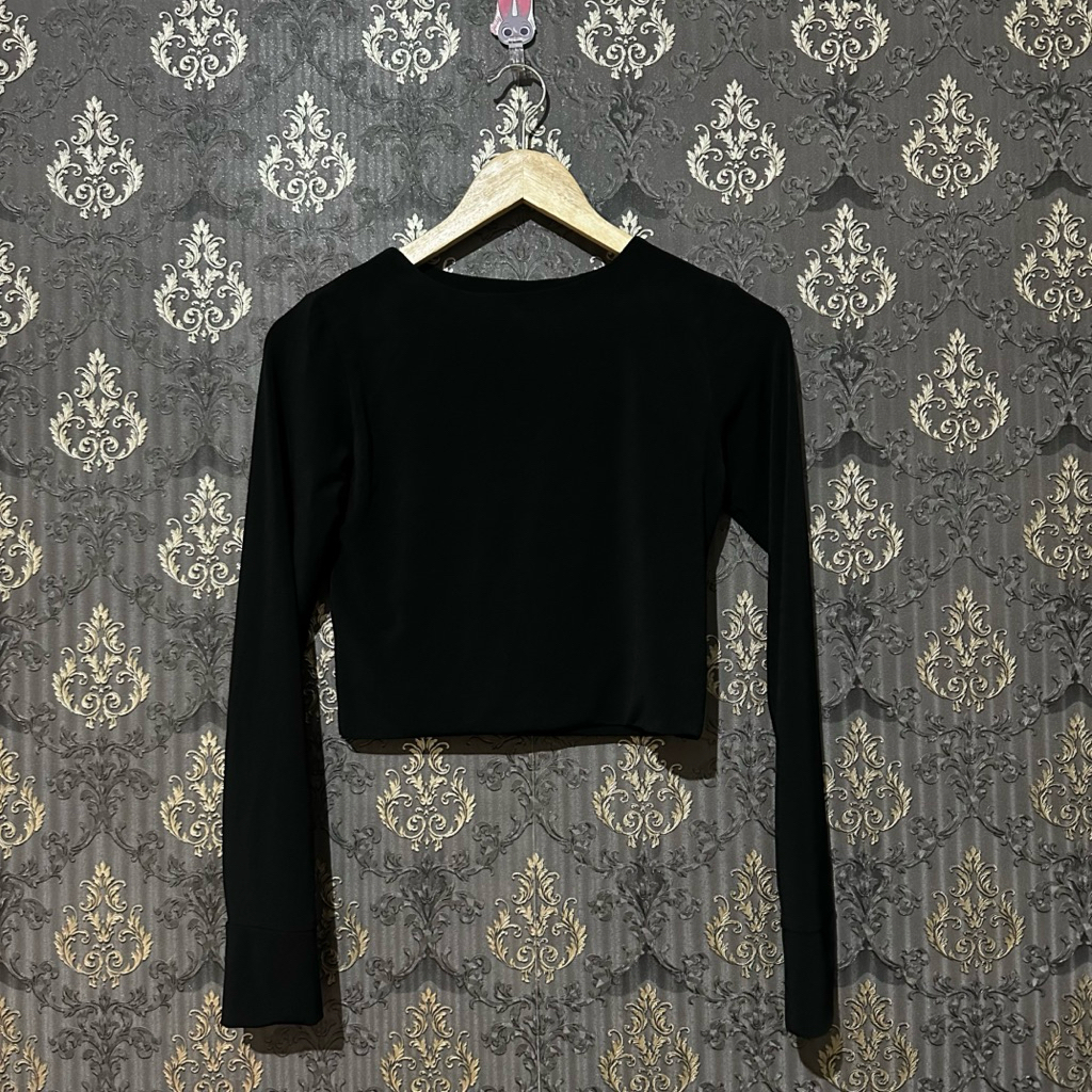 Preloved Crop Longsleeve Evertops