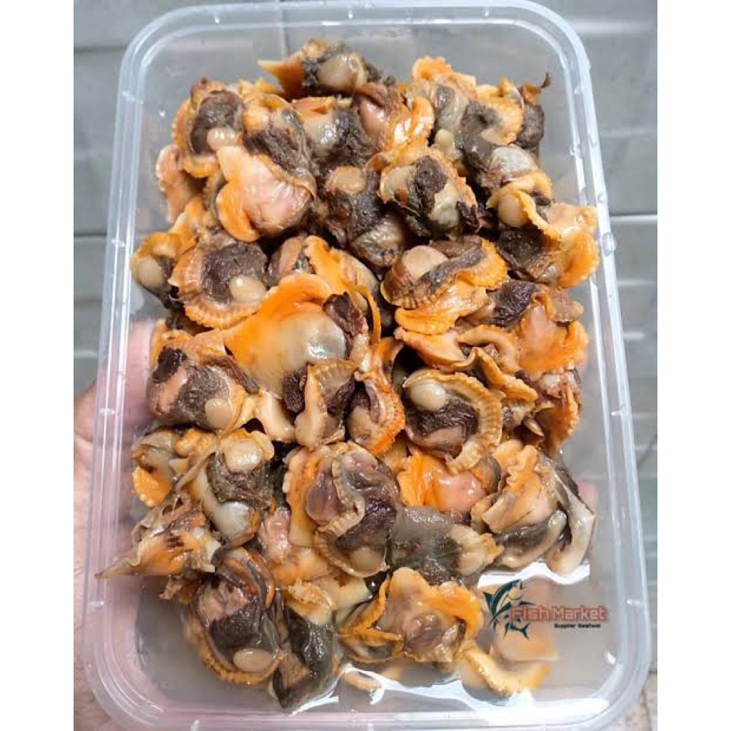 KERANG DARAH KUPAS 250GR