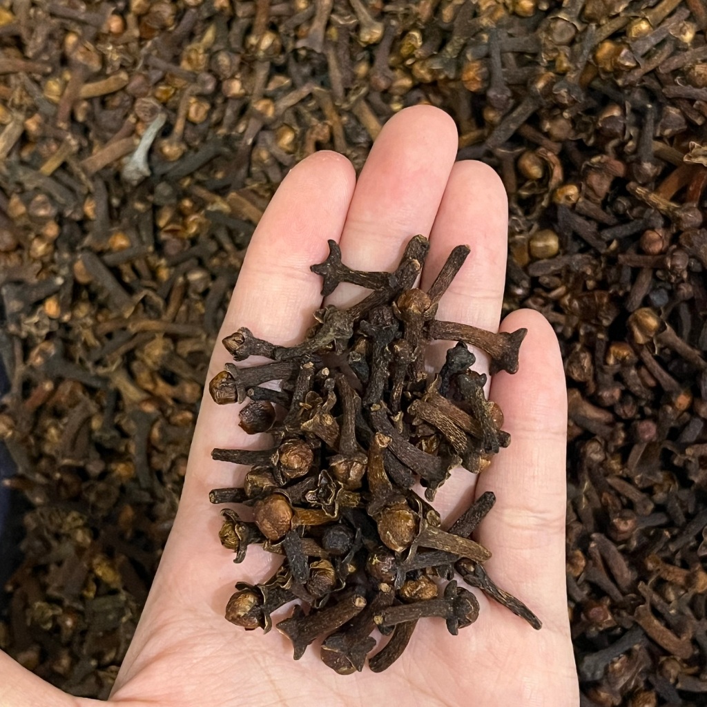 Cengkeh Kering 50gr Cengkeh Kering Utuh Kualitas Premium 50gr Cengkeh Rempah Alami Lokal Berkualitas