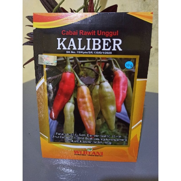 CABAI RAWIT UNGGUL KALIBER