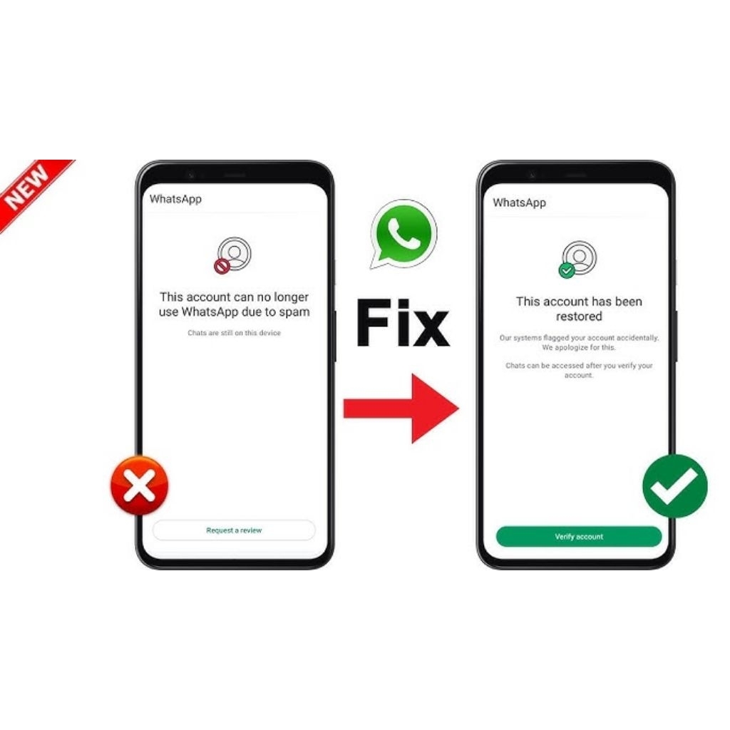 Unbanned WhatsApp Buka Blokir Permanen Jasa