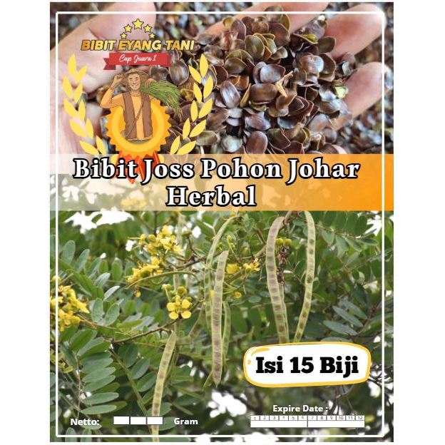 Bibit Joss Pohon Johar Herbal | Biji Benih Pohon Johar Herbal | Pohon juwar