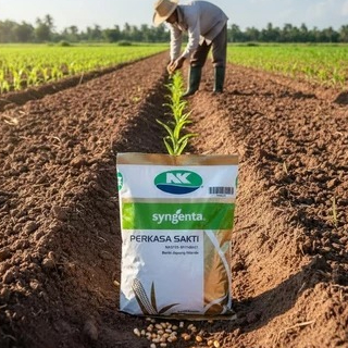 JAGUNG NK PERKASA SAKTI KEMASAN 1 KG