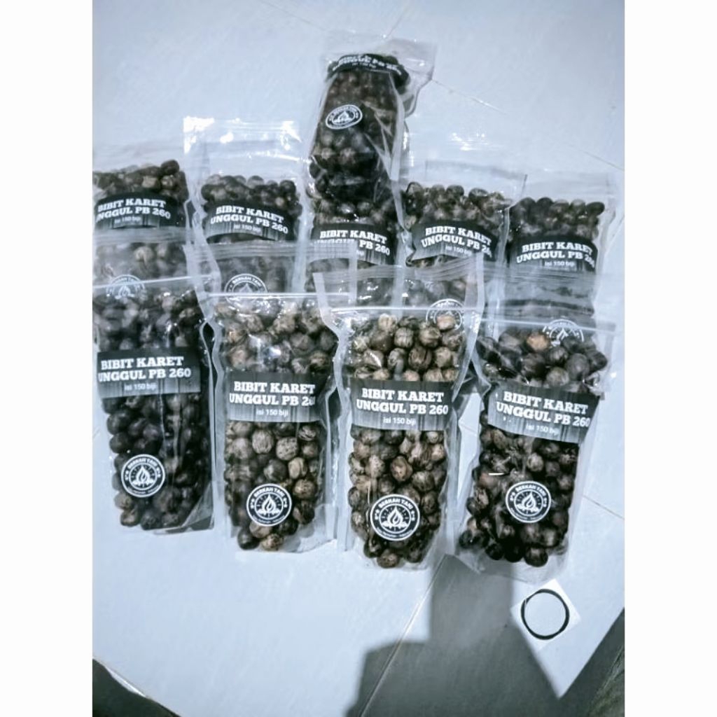 BIBIT karet UNGGUL PB 260 isi 150