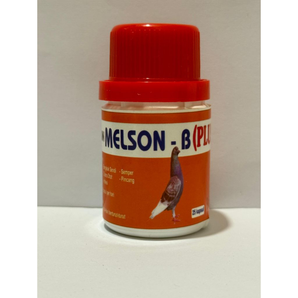 Melson b plus baron obat merpati turun urat lumpuh merpati