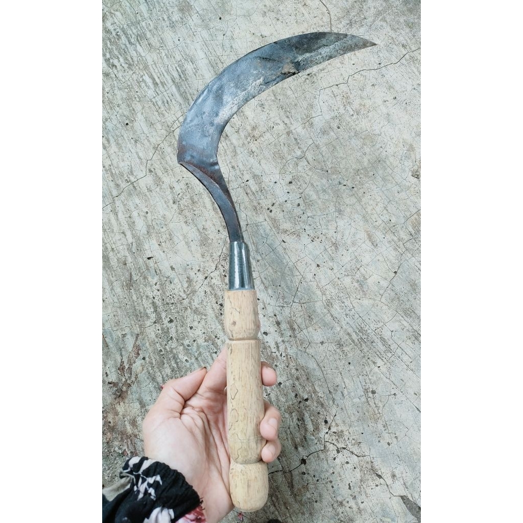 Arit padi arit rumput bahan baja sepuh super tajam arit kecil tulungagung