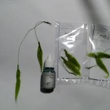 READY Lumut Tiruan / Umpan Lumut Tiruan Cabang 2 / Lumut Sintetis Ikan Pancing