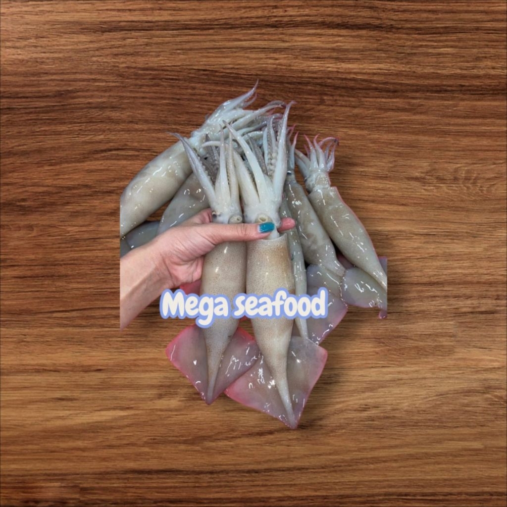 cumi tube cumi kondom