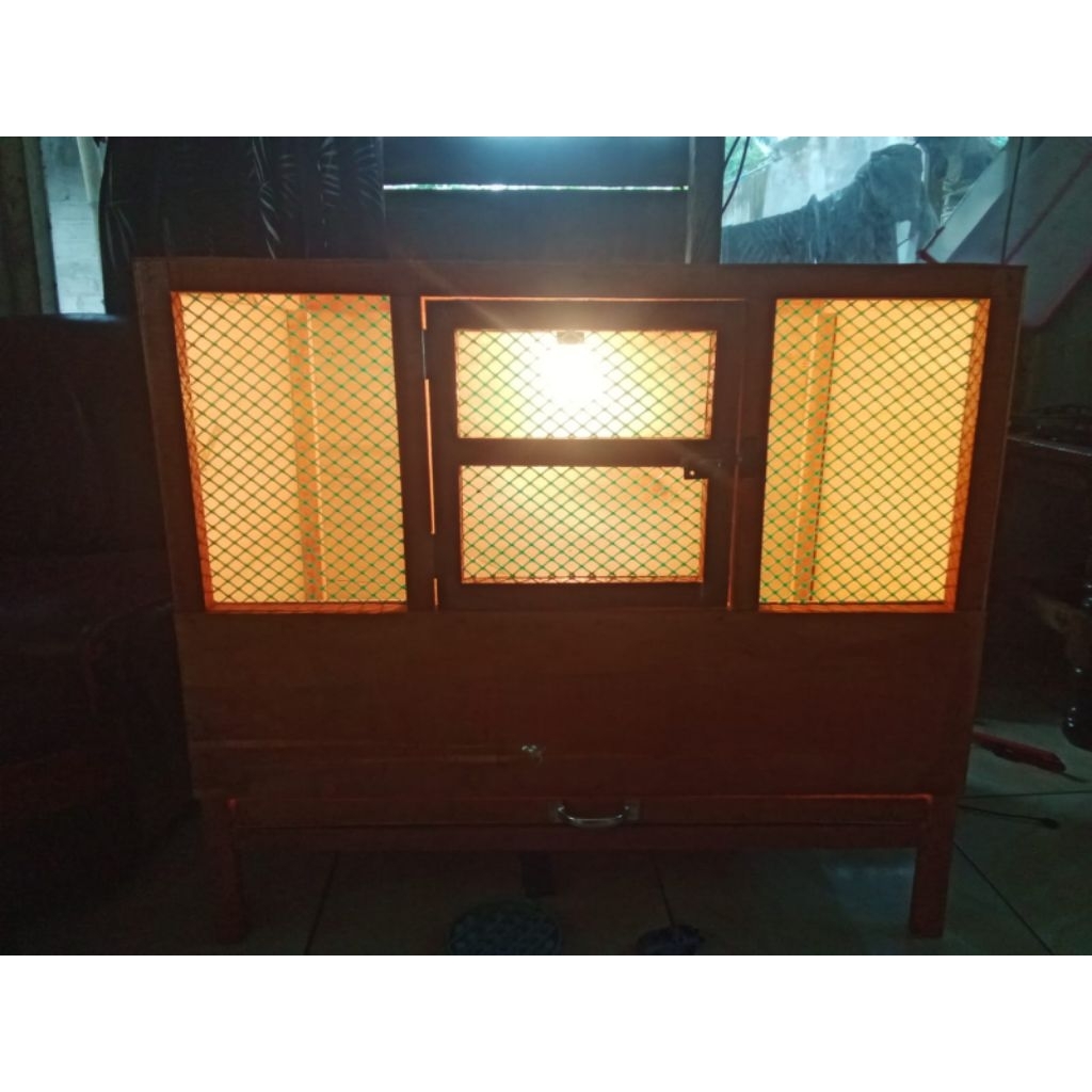 kandang anak ayam/box DOC/box pitik  ukuran p80L50T60