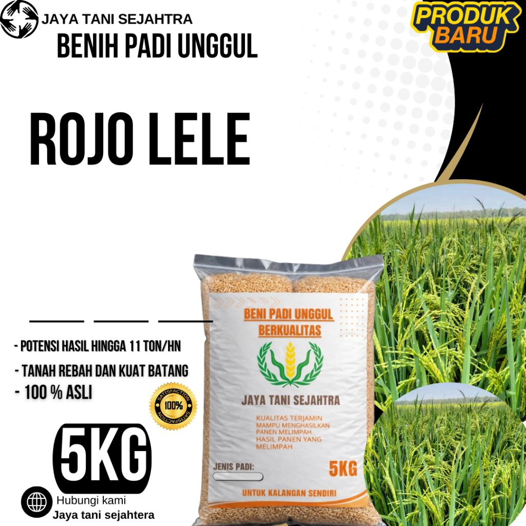 BENIH PADI UNGGUL ROJOLELE KEMASAN 5KG