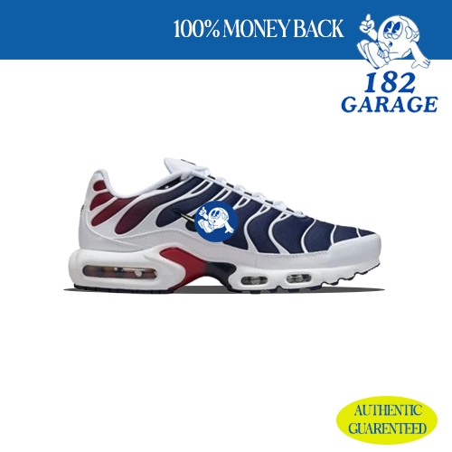 Sepatu NK Air Max Plus Tn Paris