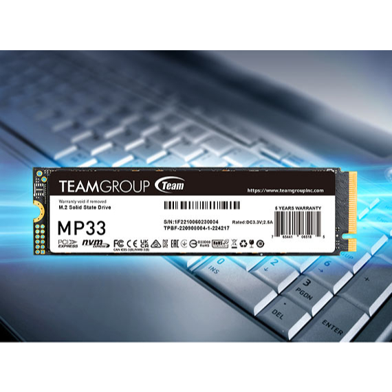 SSD TEAM MP33 M.2 NVME 256GB TM8FP6256G (BACA DESKRIPSI)