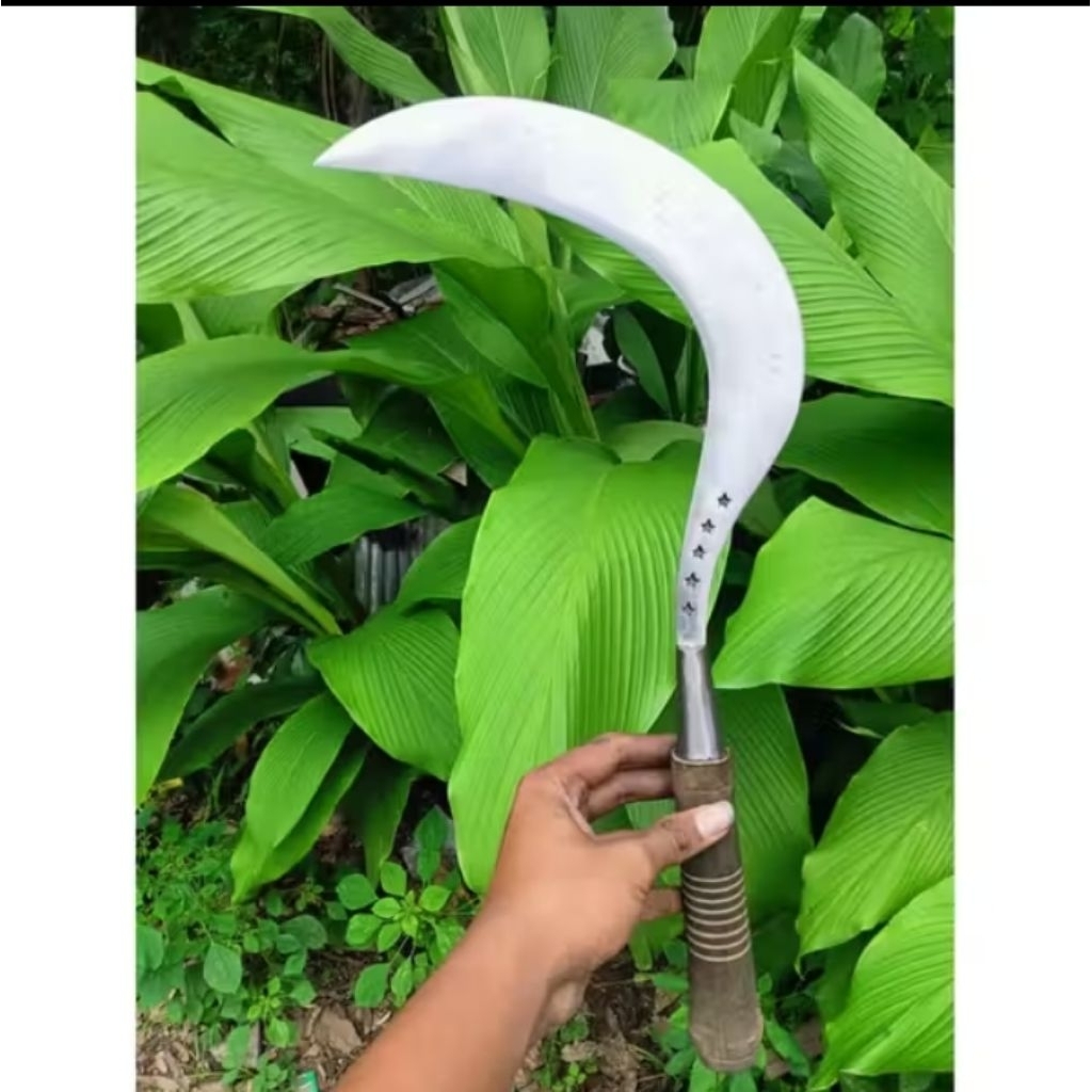 1pcs arit rumput khas madura cap bintang lima baja asli ful sepuh super tajam