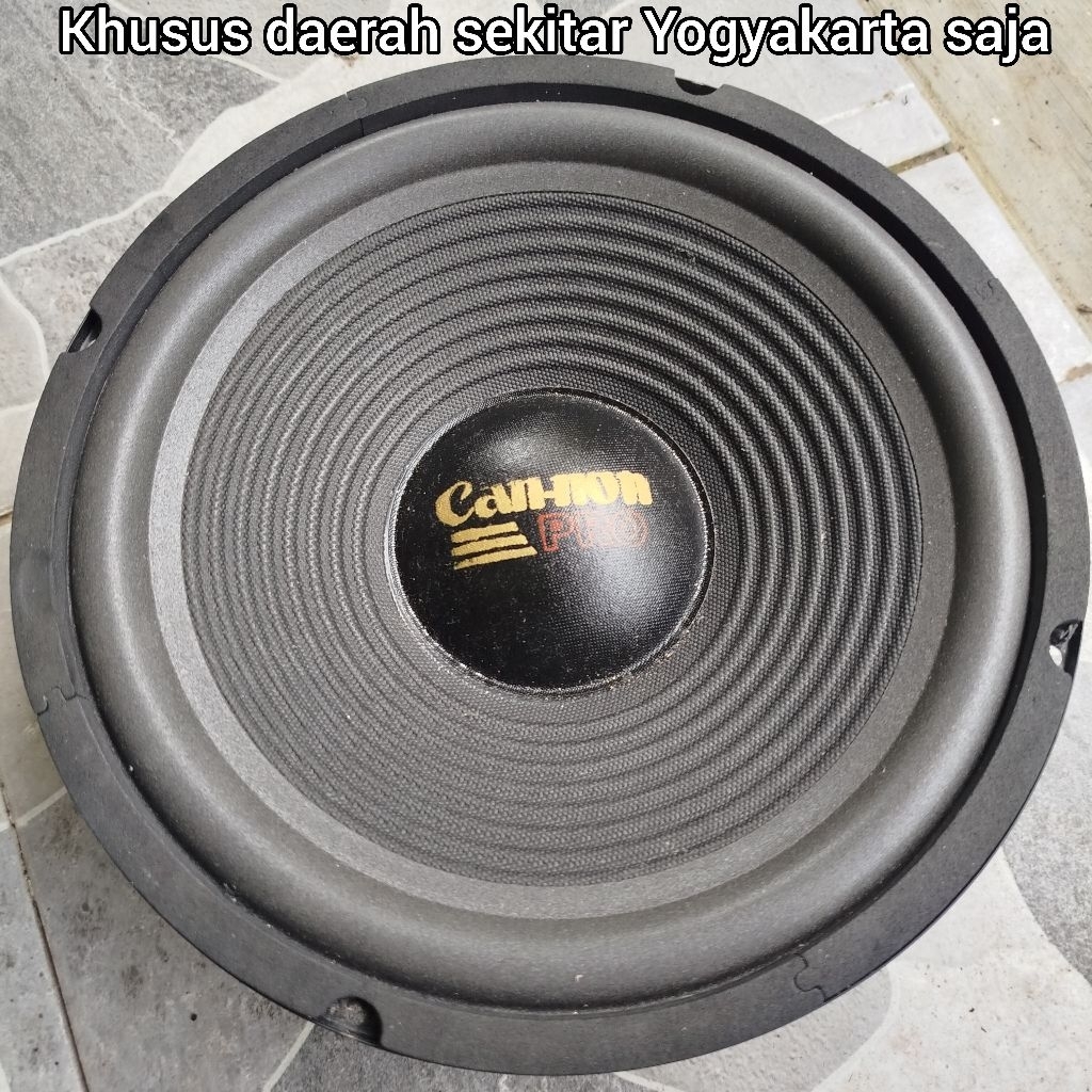Speaker 10 inchi 300 Watt Woofer Canon