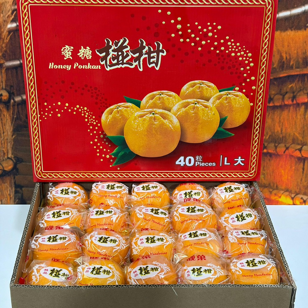 JERUK PONKAM 40 | Buah Jeruk Manis Premium