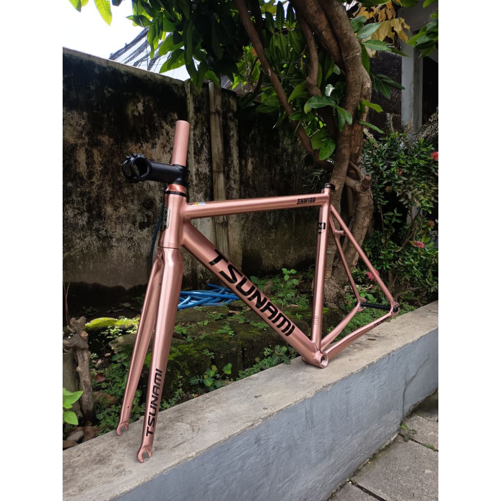 frameset tsunami rosegold sz L