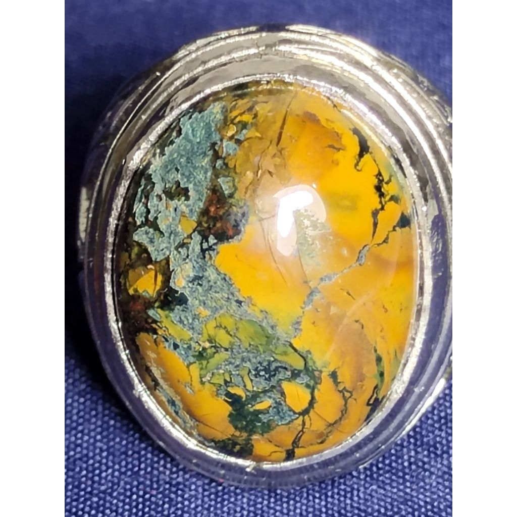 Natural Asem Petrified Wood, EVIL DOG / Batu Fosil Kayu Asem, ANJING SETAN