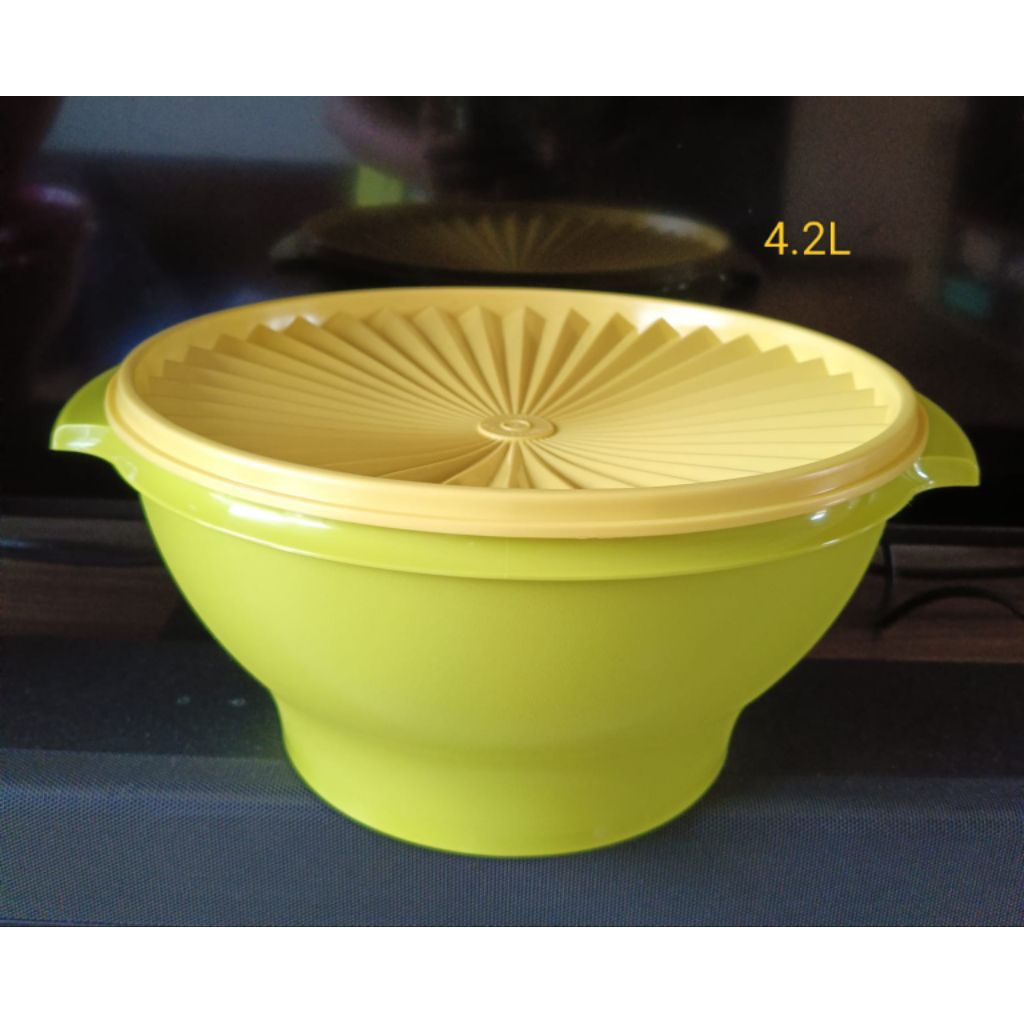 Large Rice Bowl Tupperware