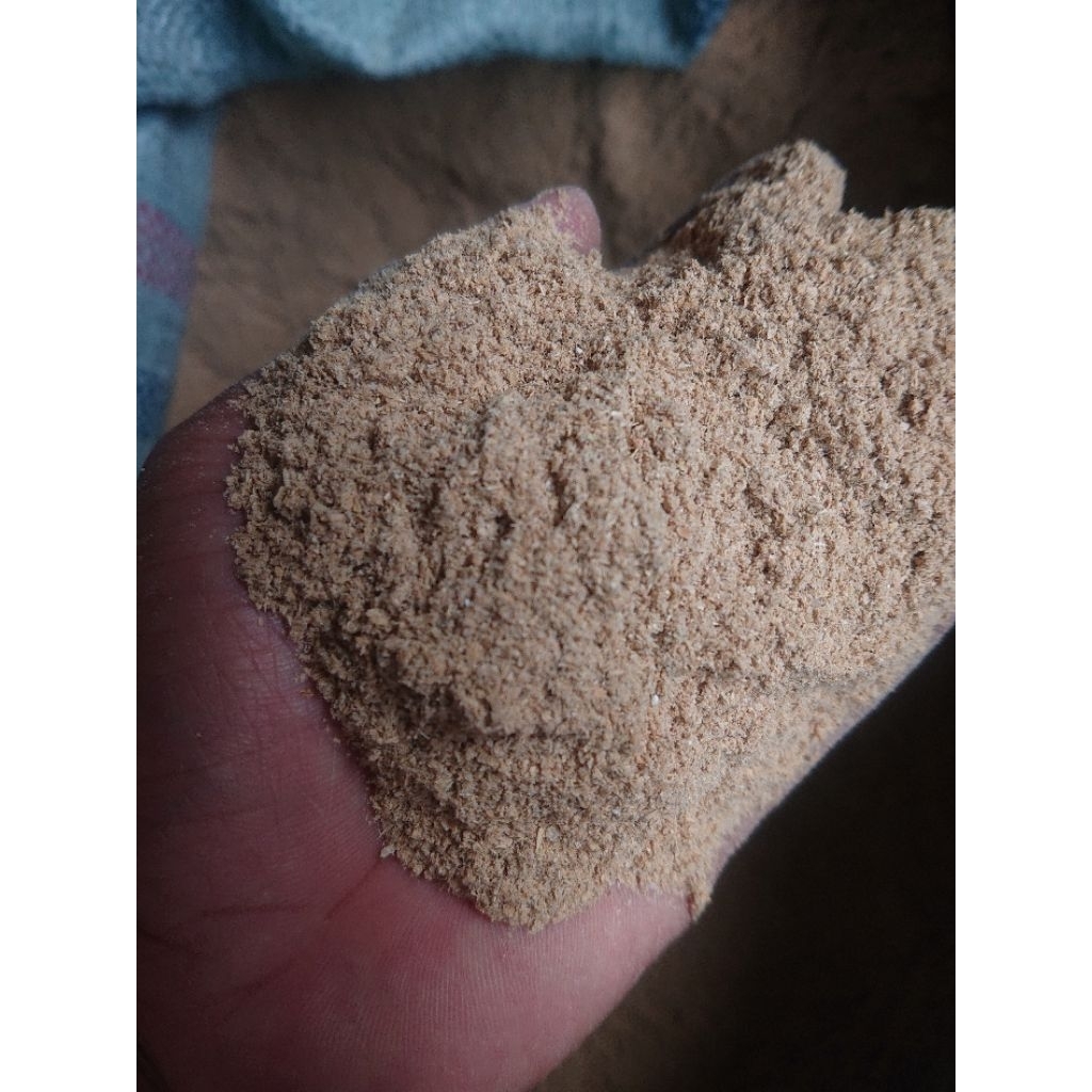 bekatul murni pakan ternak