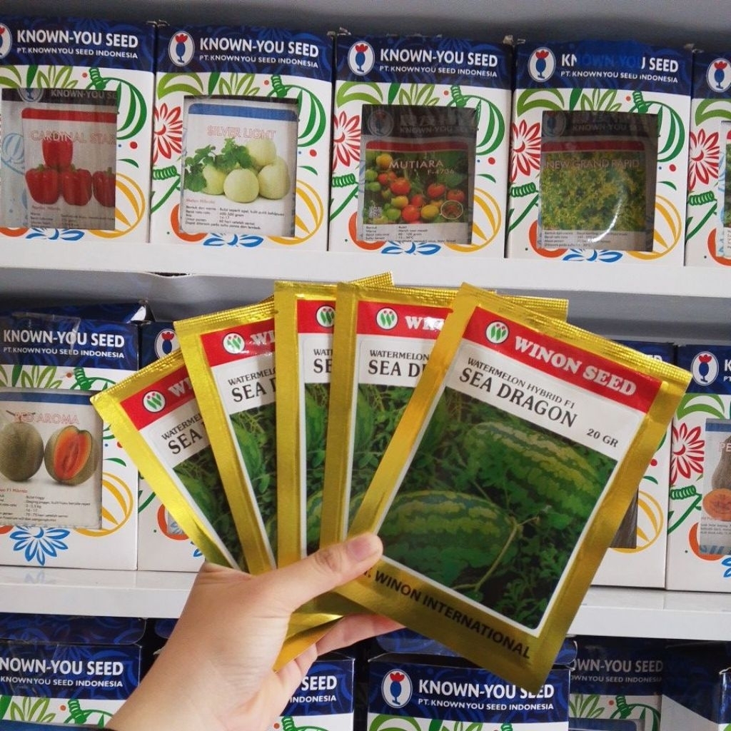 benih semangka SEA DRAGON isi 20gram
