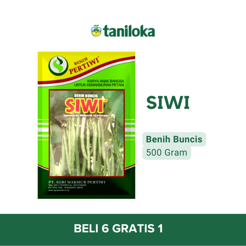 Benih Pertiwi - Benih Buncis Siwi (500 Gram)