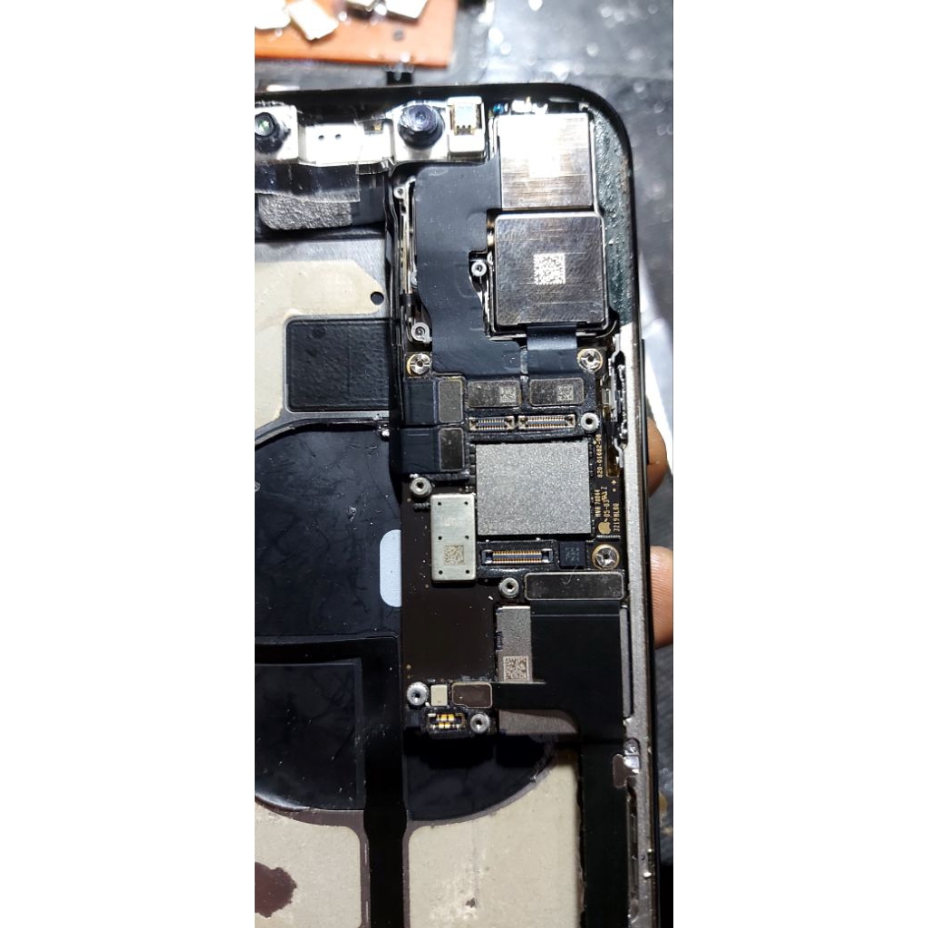 iphone 11 pro gambling