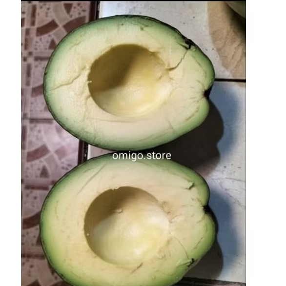 Alpukat Markus Jumbo 1-2 kg | Isi 2 Buah | Packing aman