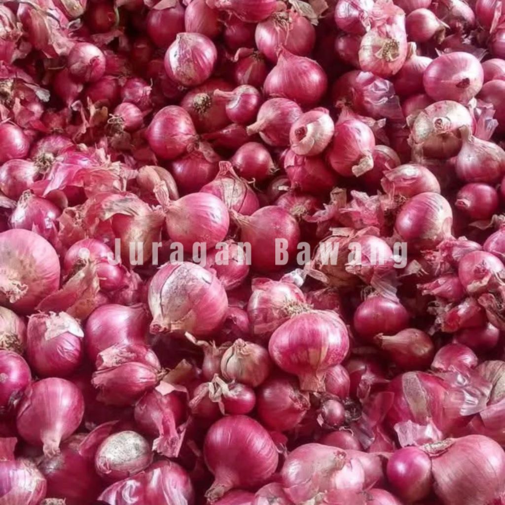 Bawang Merah Kering Bawang Merah Super Bawang Merah Premium