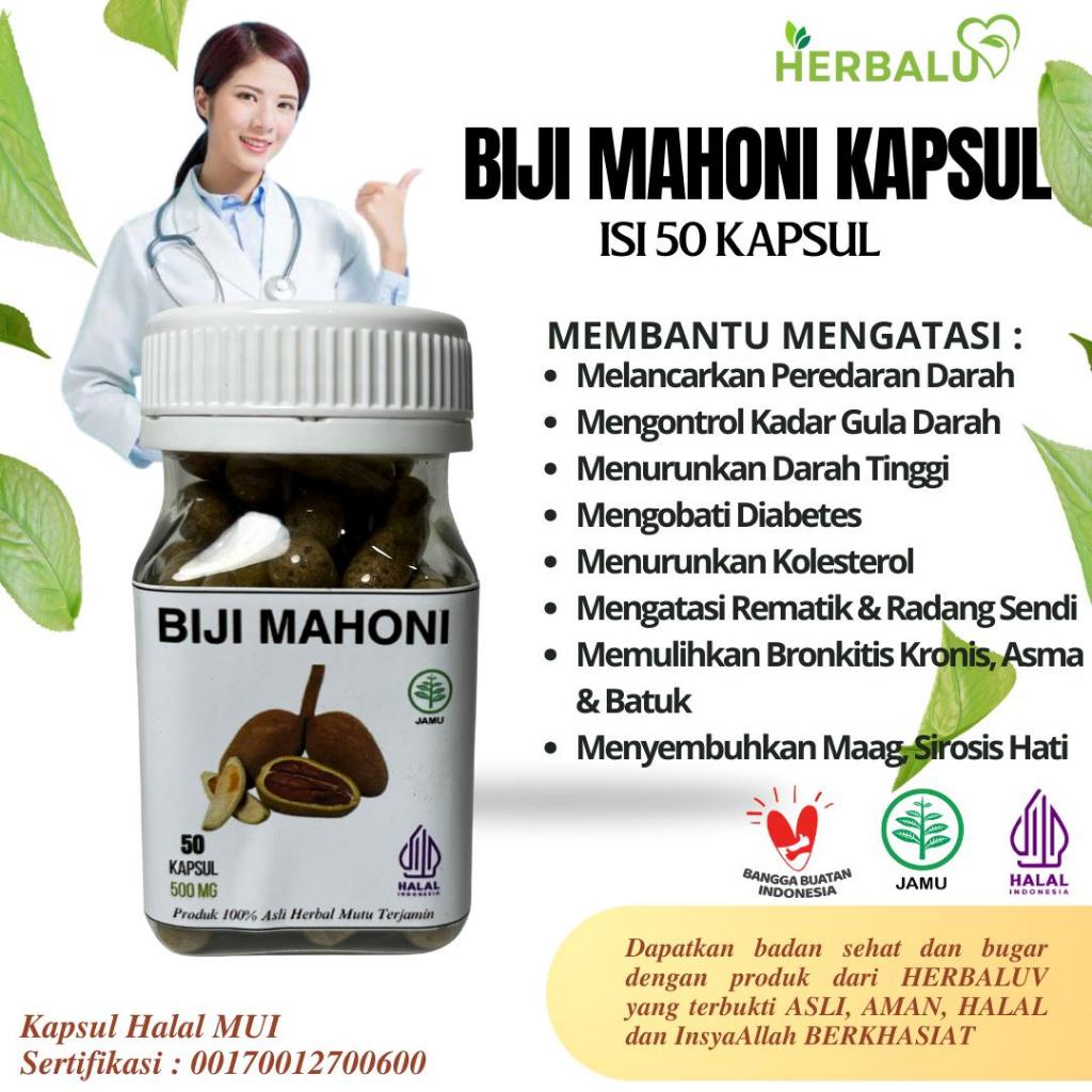 Kapsul Biji Mahoni Original Herbal Isi 50 Kapsul
