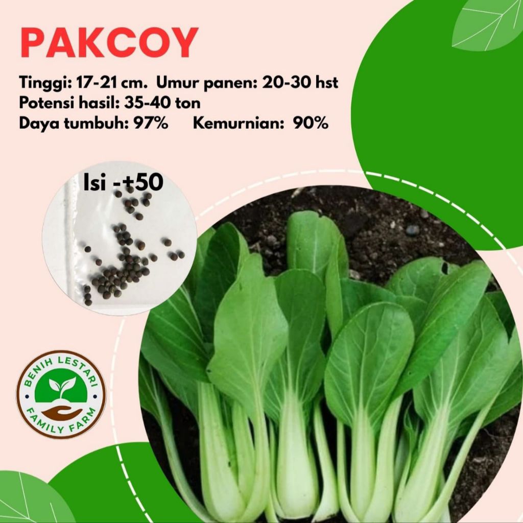 Benih Sayuran Seribuan - Sawi Pakcoy Putih, Sawi Box Sawi Pakcoy