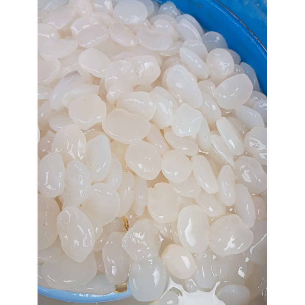 Kolang kaling kenyal original 1kg