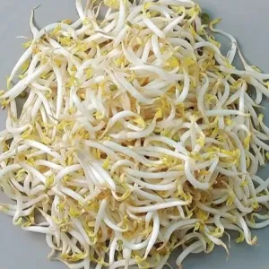 Tauge 1 kg, 500g, atau 200g