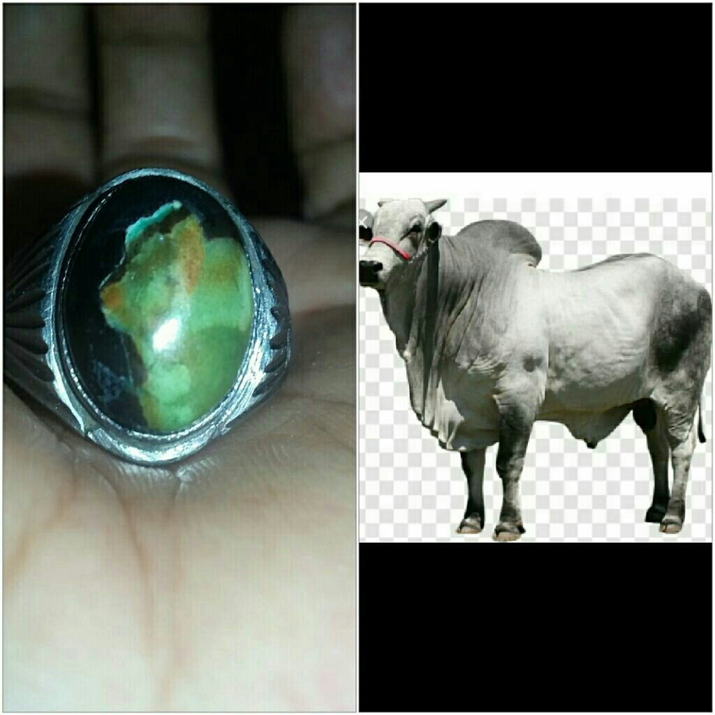 pw edong garut motif