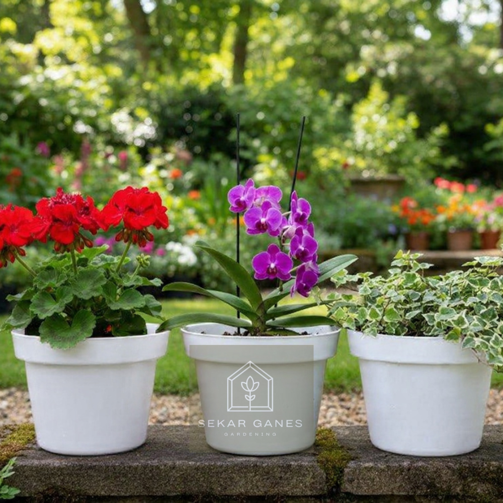 PROMO LUSINAN Pot Bunga 20 Putih Polos Pot Bunga Hias Grosir Murah Plastik Lusinan Pot 20 Bibit TERM