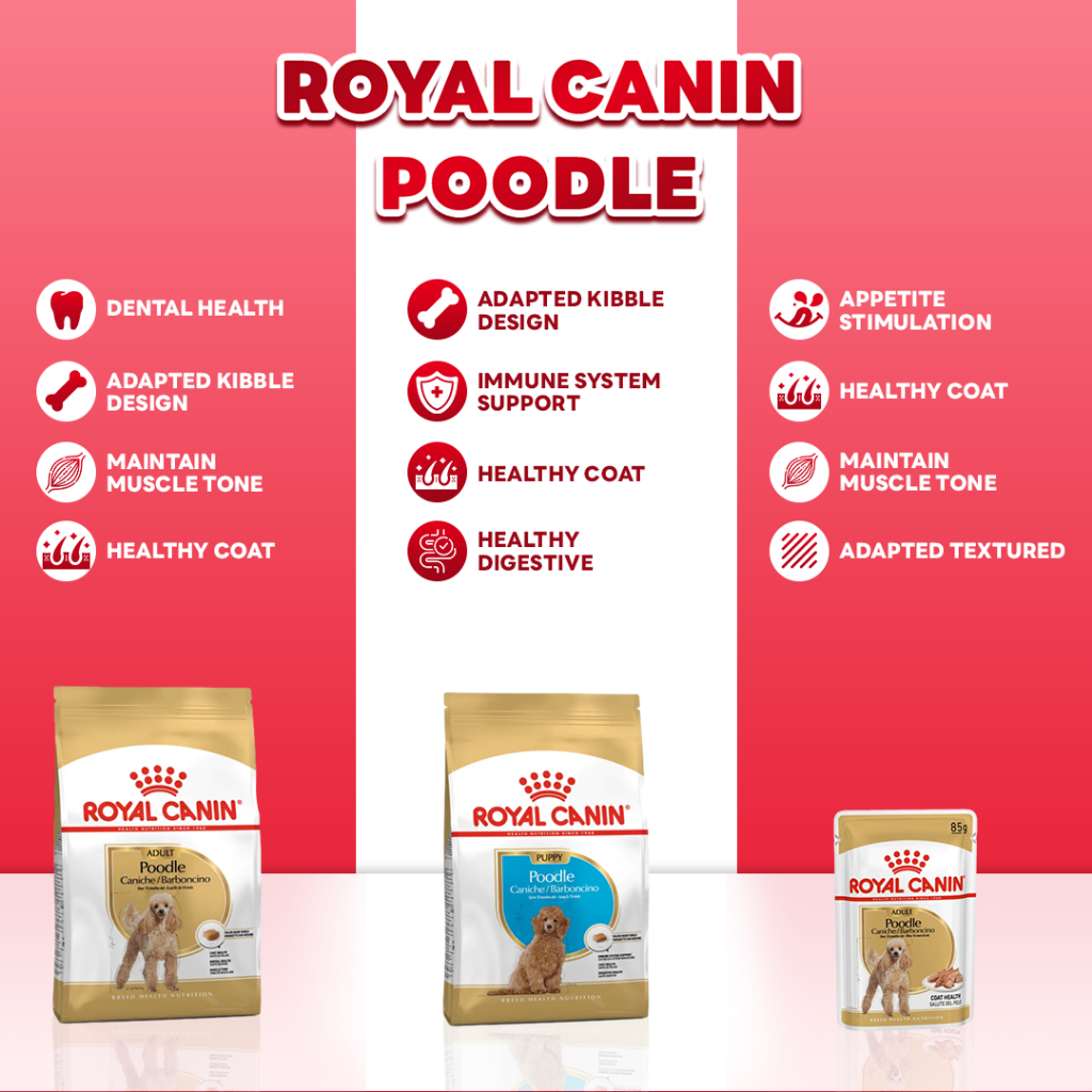Makanan Anjing Poodle / Royal Canin Poodle Adult 85 Gram