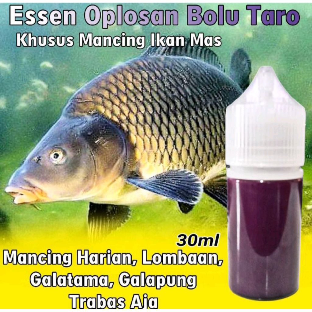 Essen Ikan Mas Bolu Taro, Essen Ikan Mas Oplosan, Essen Ikan Mas Galapung, Essen Ikan Mas Galatama